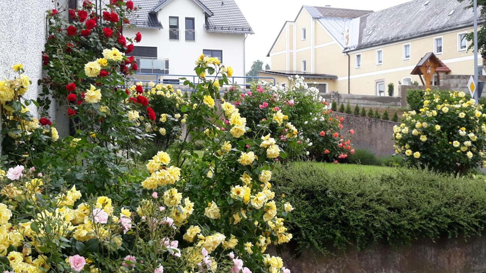 Apartments Angela Wiesau エクステリア 写真